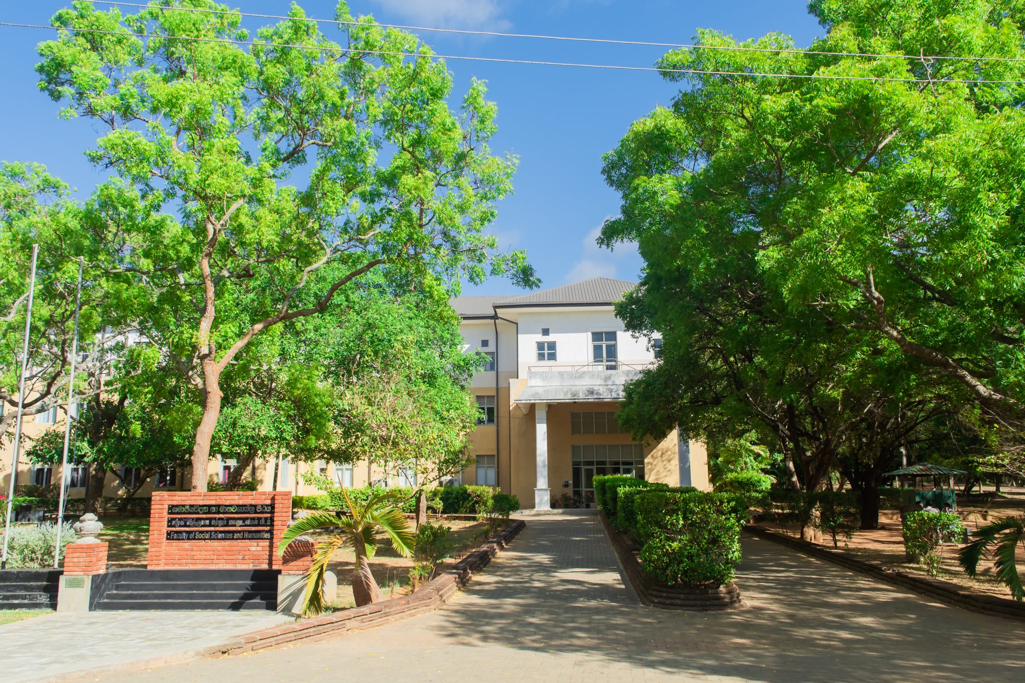 About the Faculty – fssh